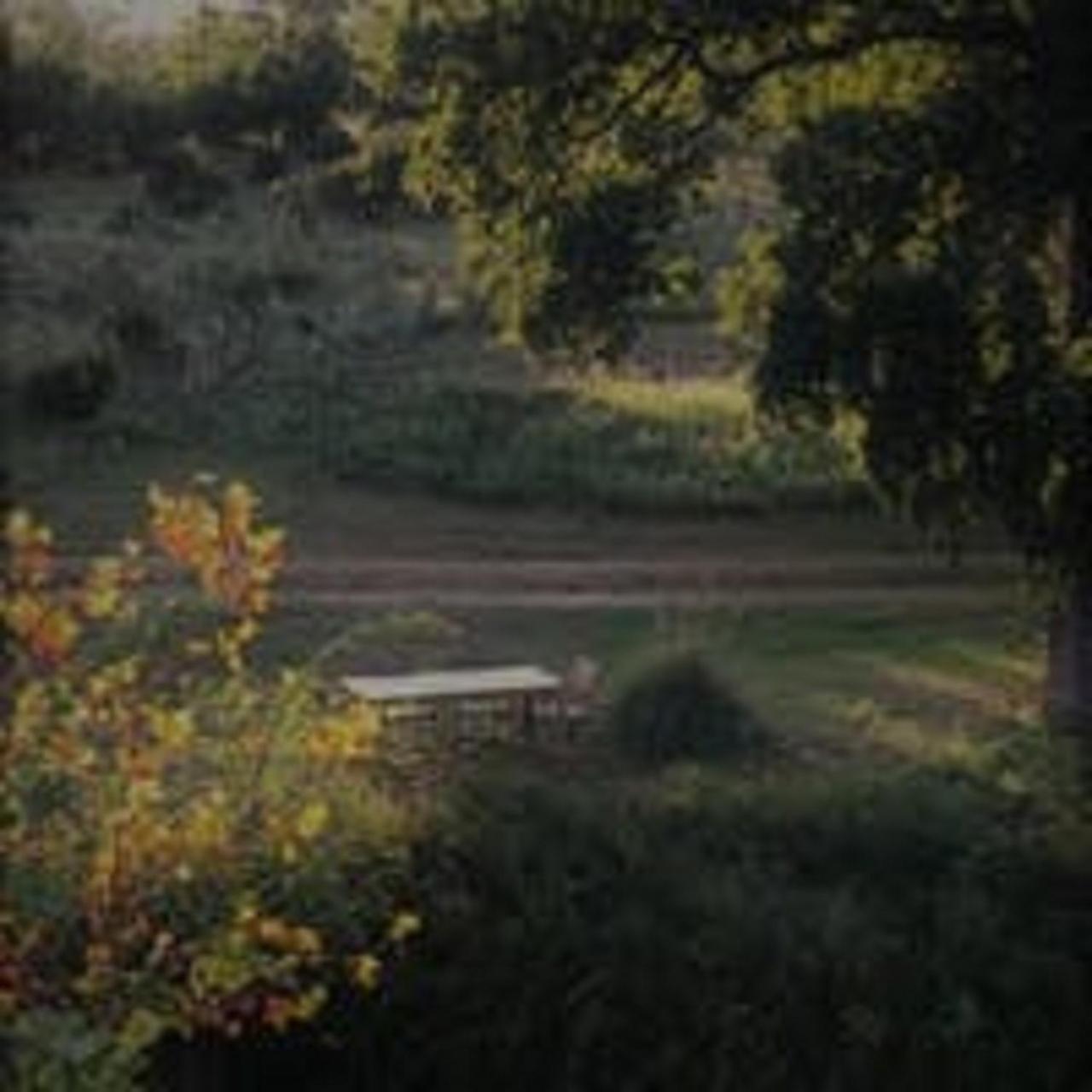 City On A Hill At Spring Creek 프레드릭스버그 외부 사진